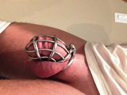 caged-cdn-boi:  Me in the new Jail Bird.  Able to lock my PA