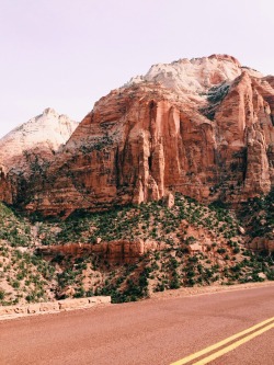 kellyghost:  Zion National Park 
