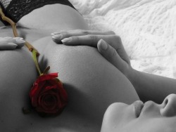 Quello che cerchi