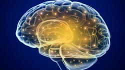 futurist-foresight:  Memory loss associated with Alzheimers reversed.