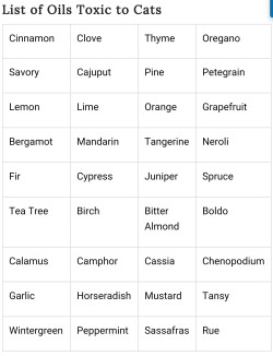 the-witchy-thing: laylawolfwind:   List of essential oils and