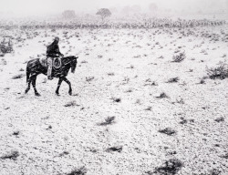 joeinct:  Cowboy, Arizona, Photo by Pirkle Jones, 1957