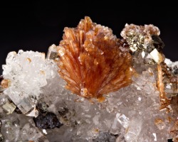 mineralia:  Inesite with Hubeite, Quartz, Pyrite, & Apophyllite
