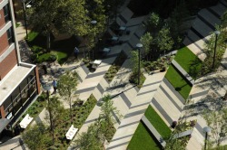 enochliew:  Levinson Plaza, Mission Park by Mikyoung Kim Design