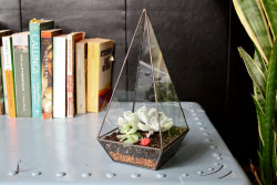 wickedclothes:  Obelisk Terrarium Created out of repurposed window