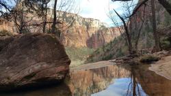 naturalsceneries:Hiking through The Emerald Pools in Zion National