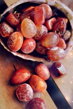 gemmadness:  Fire agates