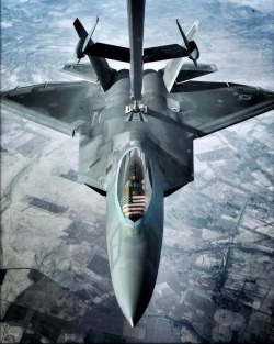 forestwildflower:  globalairforce:  U.S. Air Force F-22 Raptor