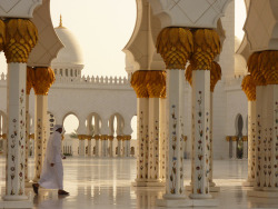 inkxlenses:  Sheikh Zayed Grand Mosque | by Antoine Hubert