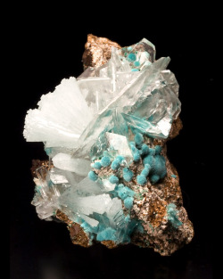 lankomiyazaki:  Rosasite, Calcite, and Hemimorphite; Mapimi,