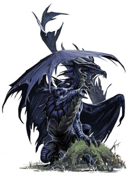 laughingmagician:  Young Black Dragon by *BenWootten 