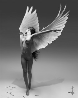 wsyghf:  天使的翅膀         NOVAE  