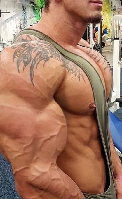 athleticbrutality:  masculine ideal    shredded alpha perfection