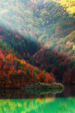 plasmatics:  Autumn Lake [via/more] By Evgeni Dinev 