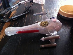 hello mary jane.