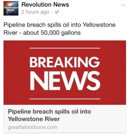 age-of-awakening:  Sunday an oil pipeline breach spilled up to