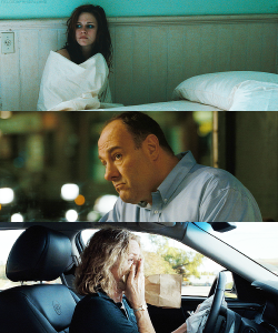 felcieinfangirlland:  movies seen in 2013→ Welcome to the Rileys