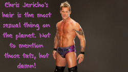wrestlingssexconfessions:  Chris Jericho’s hair is the most