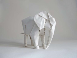 cjwho:  Raising funds for a life-sized origami elephant by Sipho