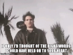 masque-of-death:  The Cure- Pictures of You