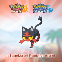 pokemon:  Litten is fired up and ready to go! 