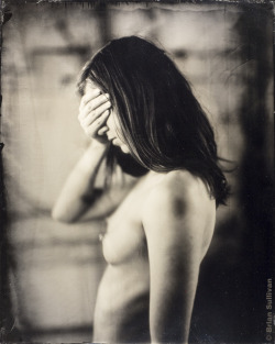 b7lab:  16x20â€³ Ambrotype - Kyotocat 2015 