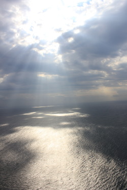 sbfoxton:  Cape of Good Hope - South Africa View from the lighthouse