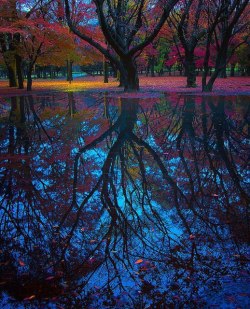 opticallyaroused:  Reflection, Tokyo, Japan