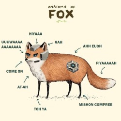 figglypuff:  The anatomy on Fox (McCloud) 