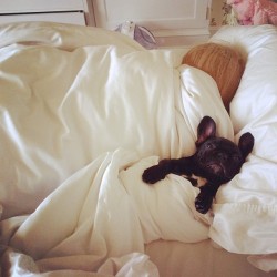 ladyxgaga:  @ladygaga: Asia sleeps with her mommy after MSG