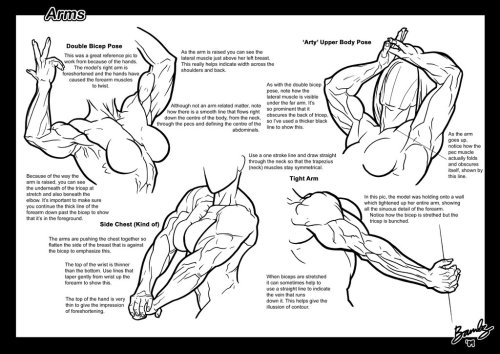 fucktonofanatomyreferences:  Muscular women references!!!!!!!!!! Oo-la-la!!!! [From various sources] 