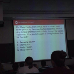 Ohio State Professor, you fucking rule. If this isn’t clever/genius