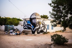 itscolossal:  Fun New Murals by ROA Utilize Tunisia’s Domed