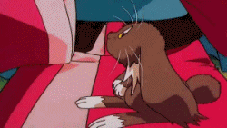 Animation is beautiful