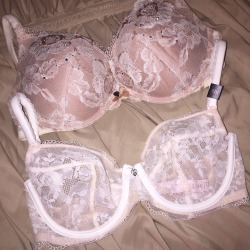 roseblush:  xxx 