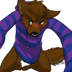 mishyrat: My old favorite coyote Omai <//w//<