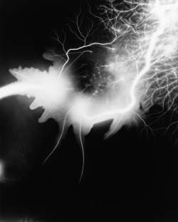 artruby:  Hiroshi Sugimoto, Lightning Fields, (2008). 
