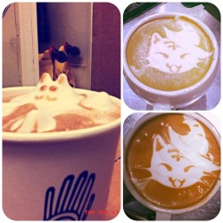 thecoffeefox:  Halloween kitties and a 3D treat! Was having a
