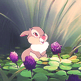 kurotix:  elsaflake:  Happy Spring with little Thumper   I LOVE