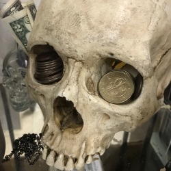 parliamentrook: parliamentrook: the money skull, reblog for money