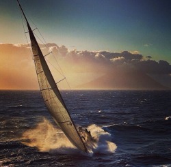 marylouv:  Kurt Arrigo Photography