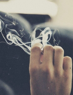 live-wild-life:  Smokε on We Heart It. 