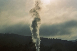 just-asheep:  untitled by coquinete on Flickr. 