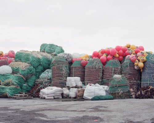 la-beaute–de-pandore:  © Gleb Simonov  