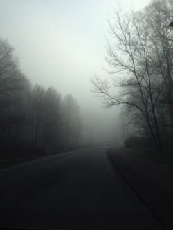 nathaliescloset:  it was nice outside this morning