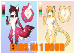 1 HOUR LEFTThese adopts end in 1 hour c:if you’d like to get