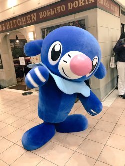 snorlax: 💙 Popplio! 💖 © 