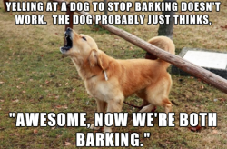 tastefullyoffensive:Dog logic. (image via giffymansand) Lol,