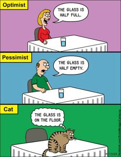 catsbeaversandducks:Cat Comics by Scott Metzger