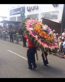 #feriadeflores2017 #desfiledelossilleteros #medellin